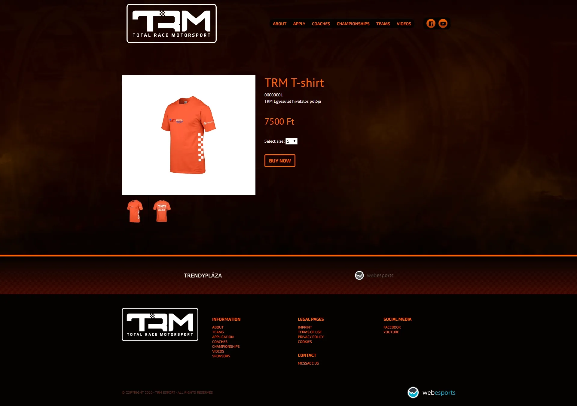trm-intro-large-3-8702117-1588075082